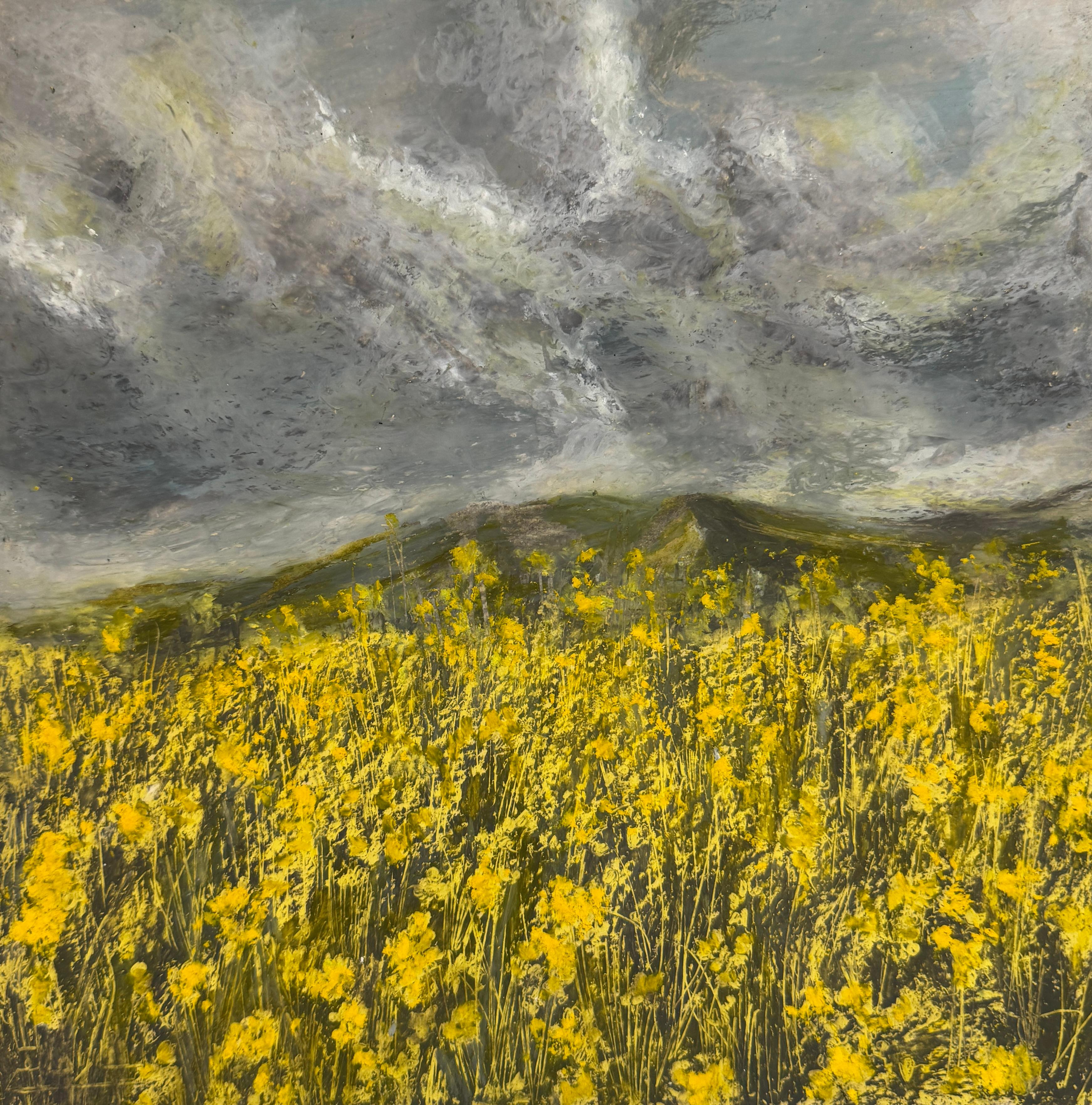 3 Sara Khaleghi Moghaddam Untitled Oil Pastel on Cardboard 25x25cm 2024(1403)