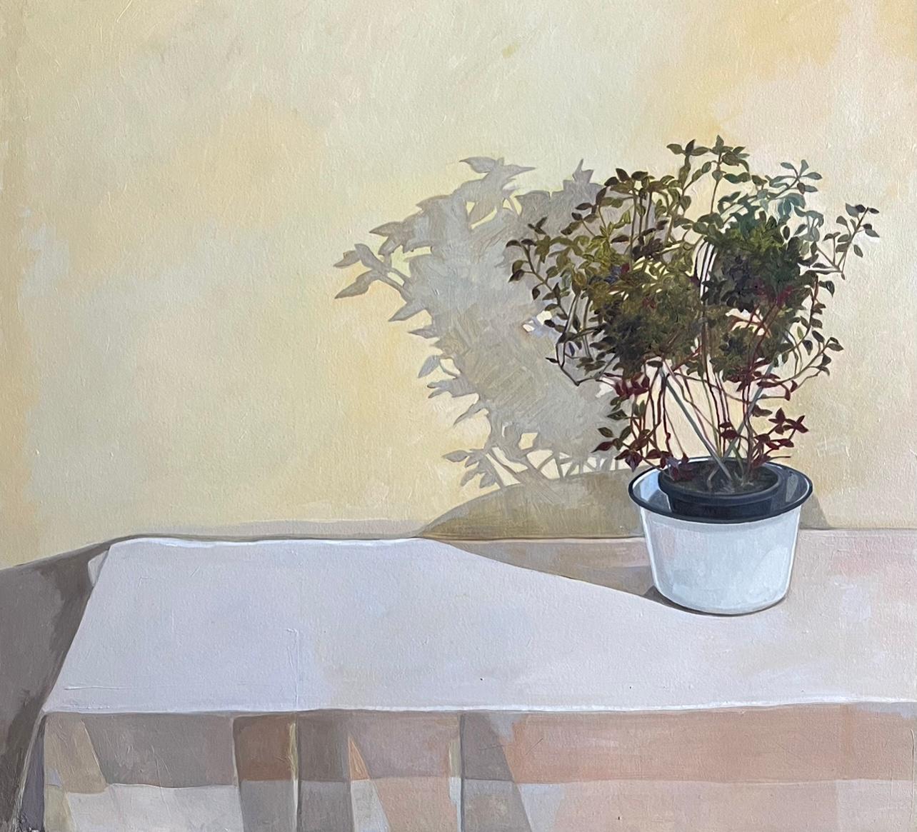 5 Arghavan Falakeh Oil Color on Cardboard 40x50 Cm 2024