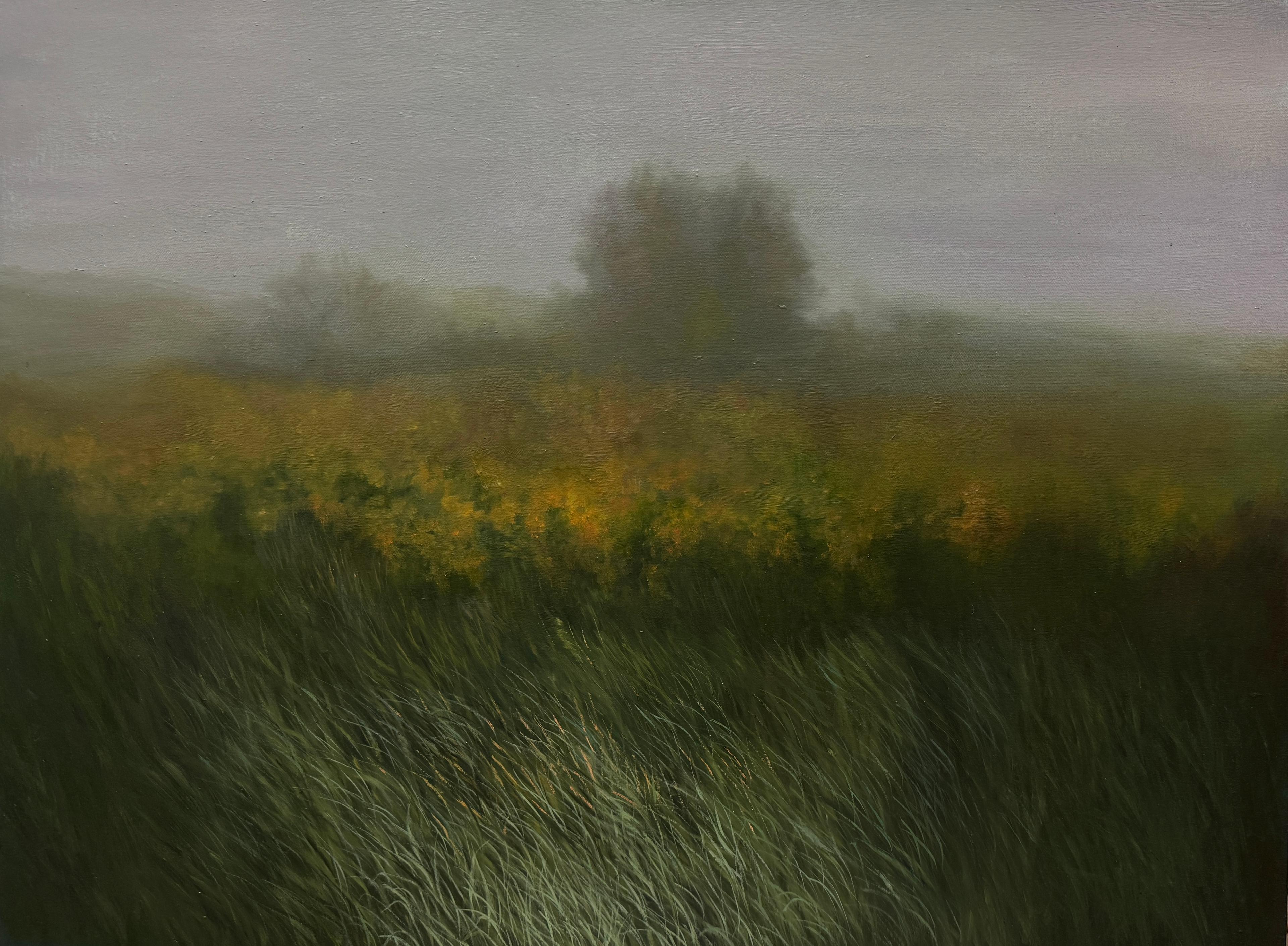 8 Sara Khaleghi Moghaddam Untitled From That Which Grows Series Oil on Canvas  45x61 Cm 2025 (1404)