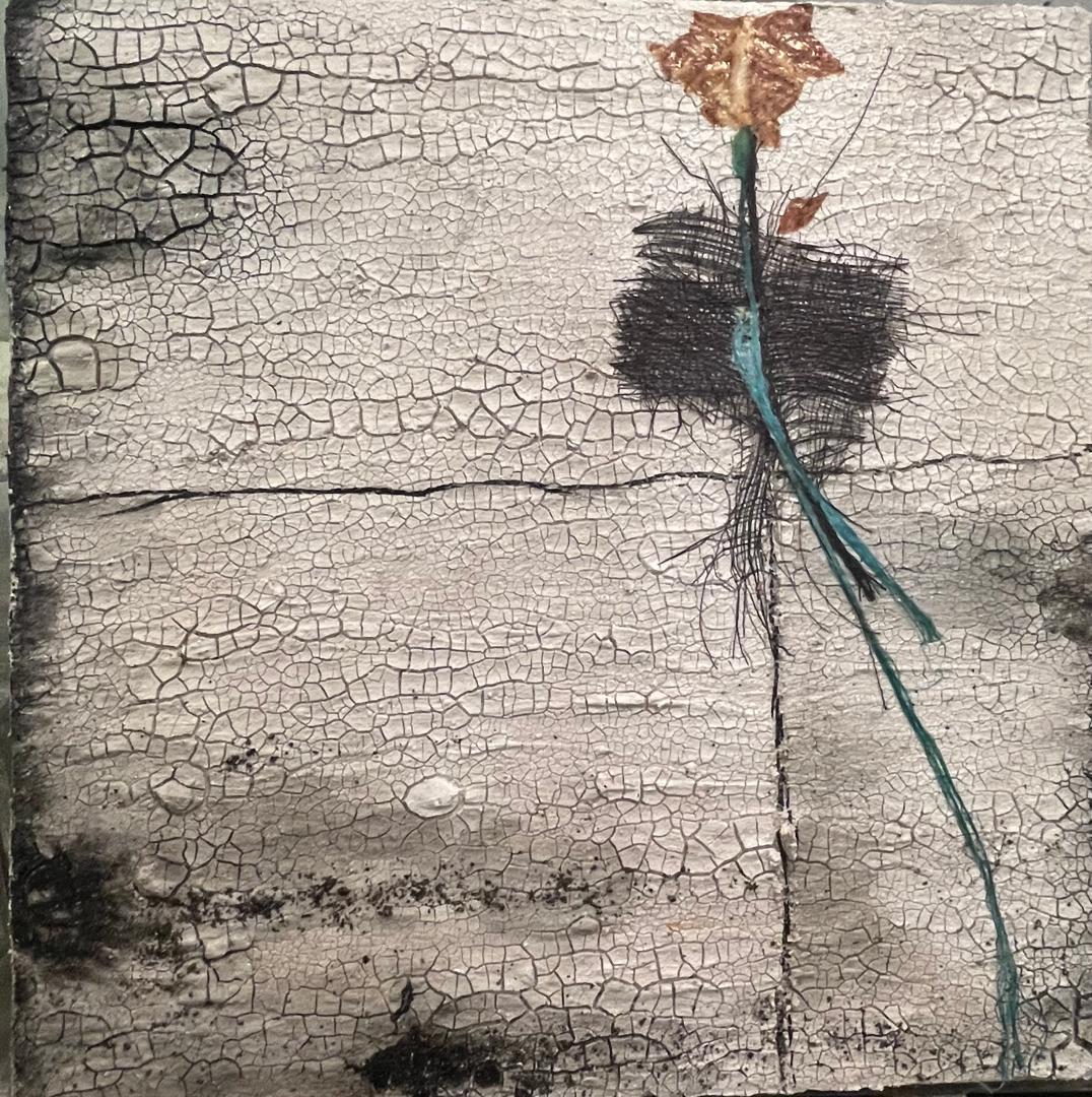 19 Maryam Salour Wonders of Creation 1 Mixed Media on Canvas 40x40 Cm 2026 (1404)