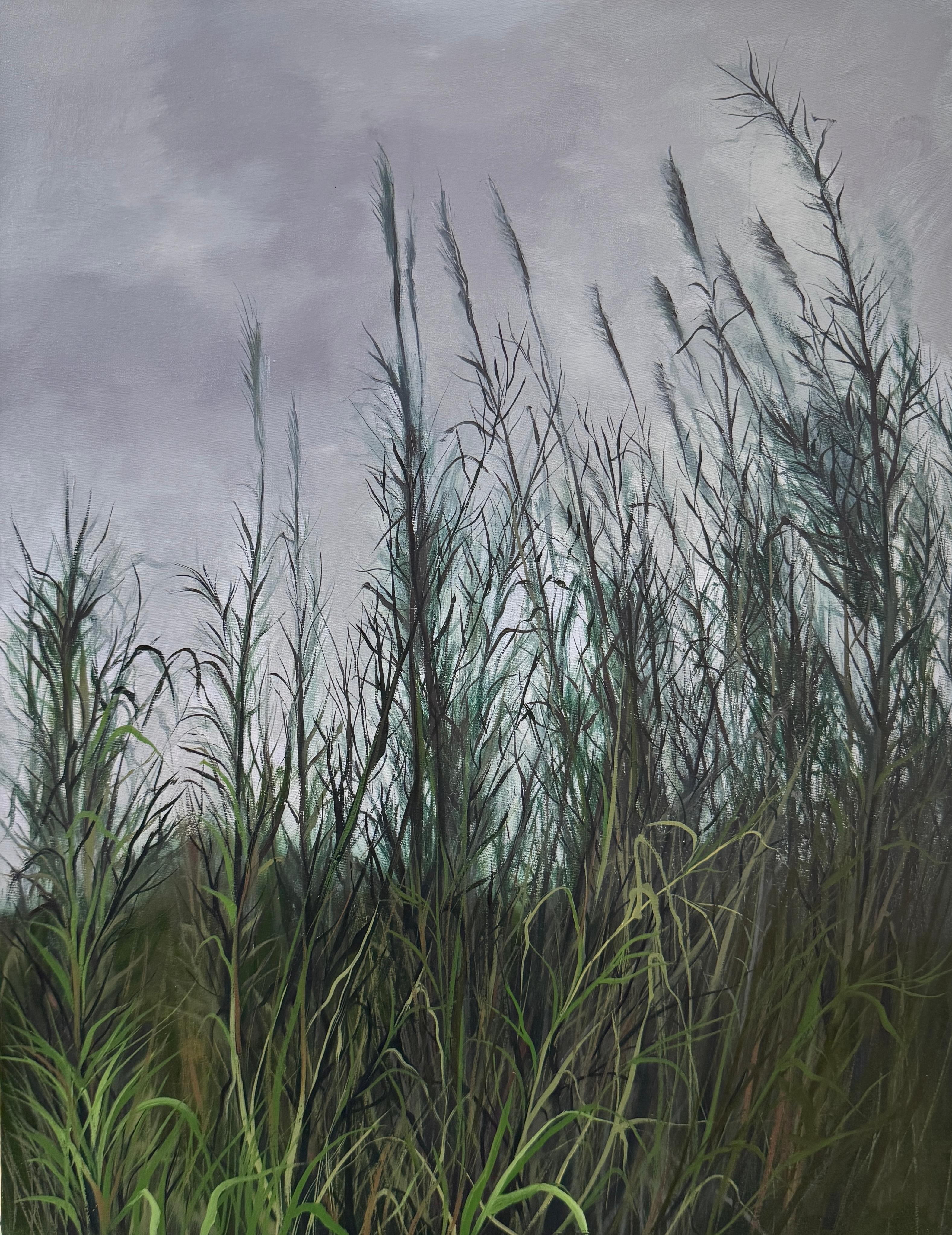 19  Sara Khaleghi Moghaddam  Untitled From That Which Grows Series Oil on Canvas  45x35 Cm 2025 (1404)