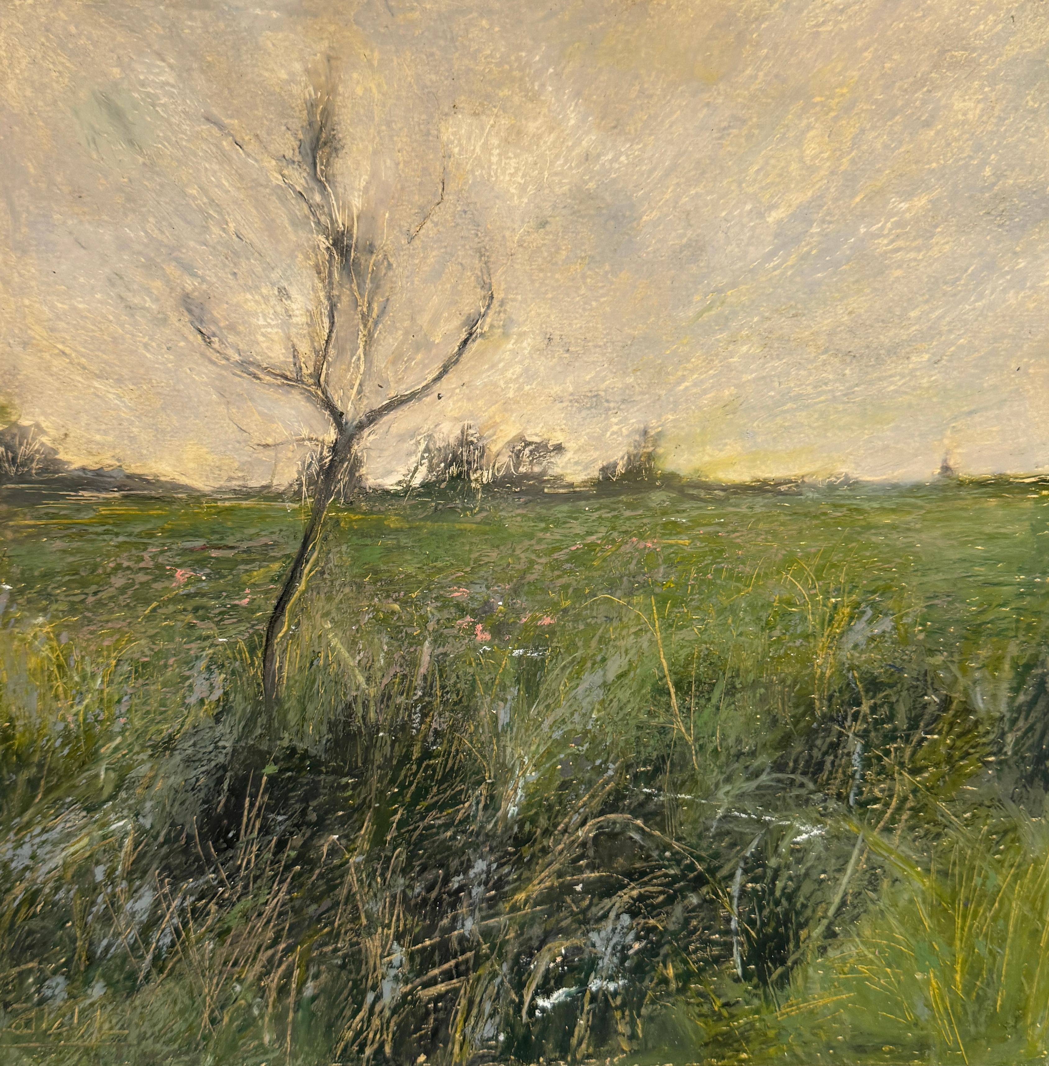 4 Sara Khaleghi Moghaddam Untitled Oil Pastel on Cardboard 25x25cm 2024(1403)