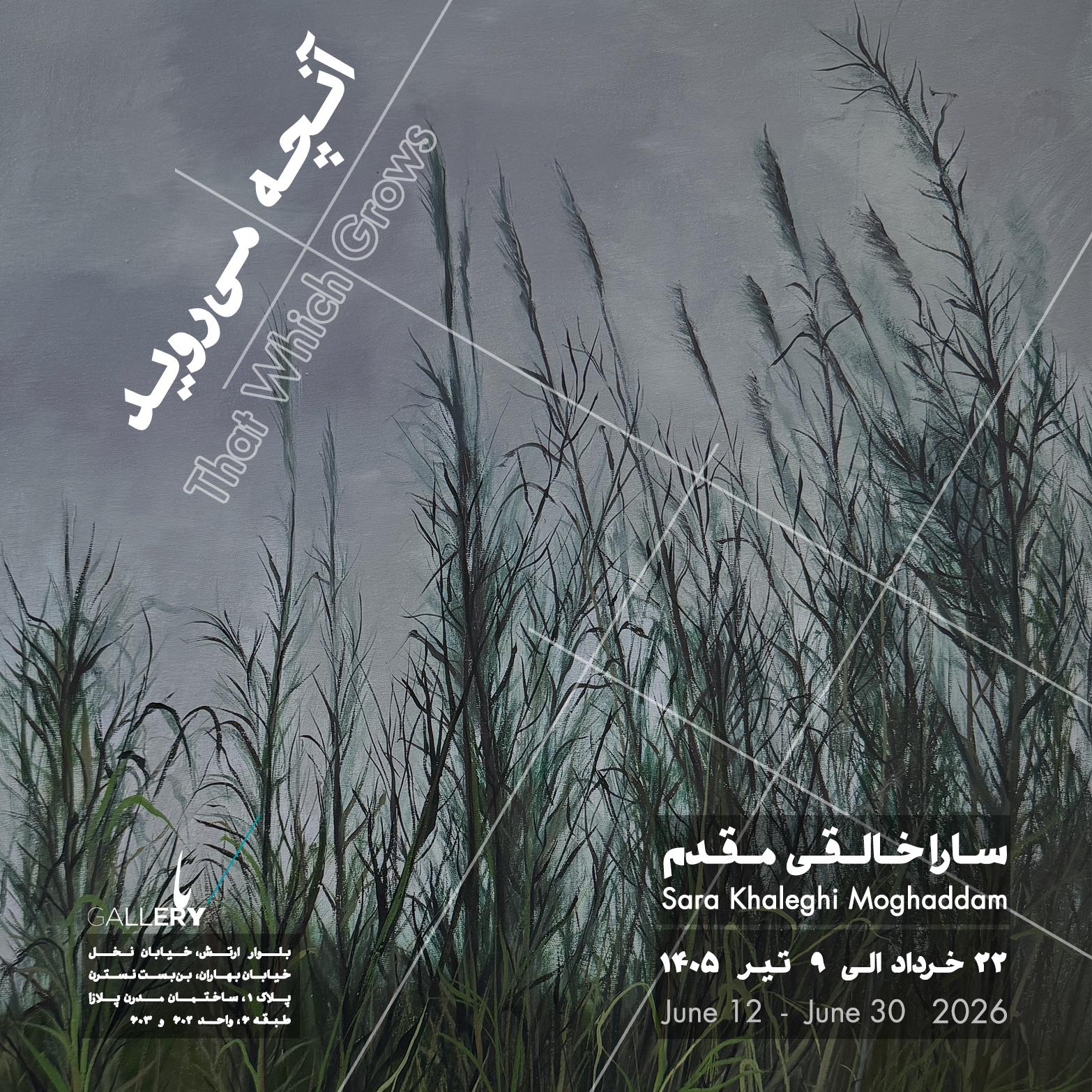 Sara Khaleghi Moghaddam That Which Grows Site