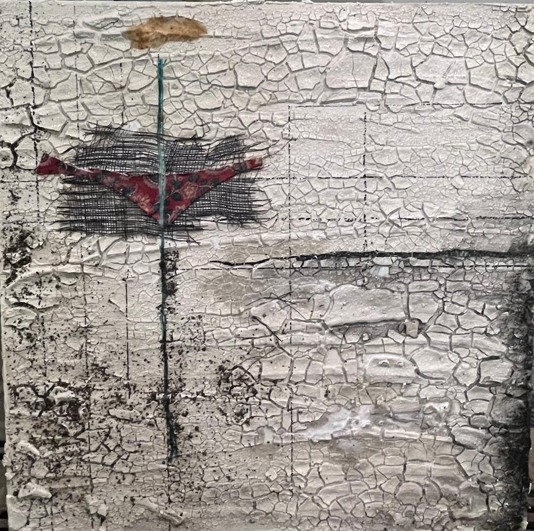 20 Maryam Salour Wonders of Creation 2 Mixed Media on Canvas 40x40 Cm 2026 (1404)