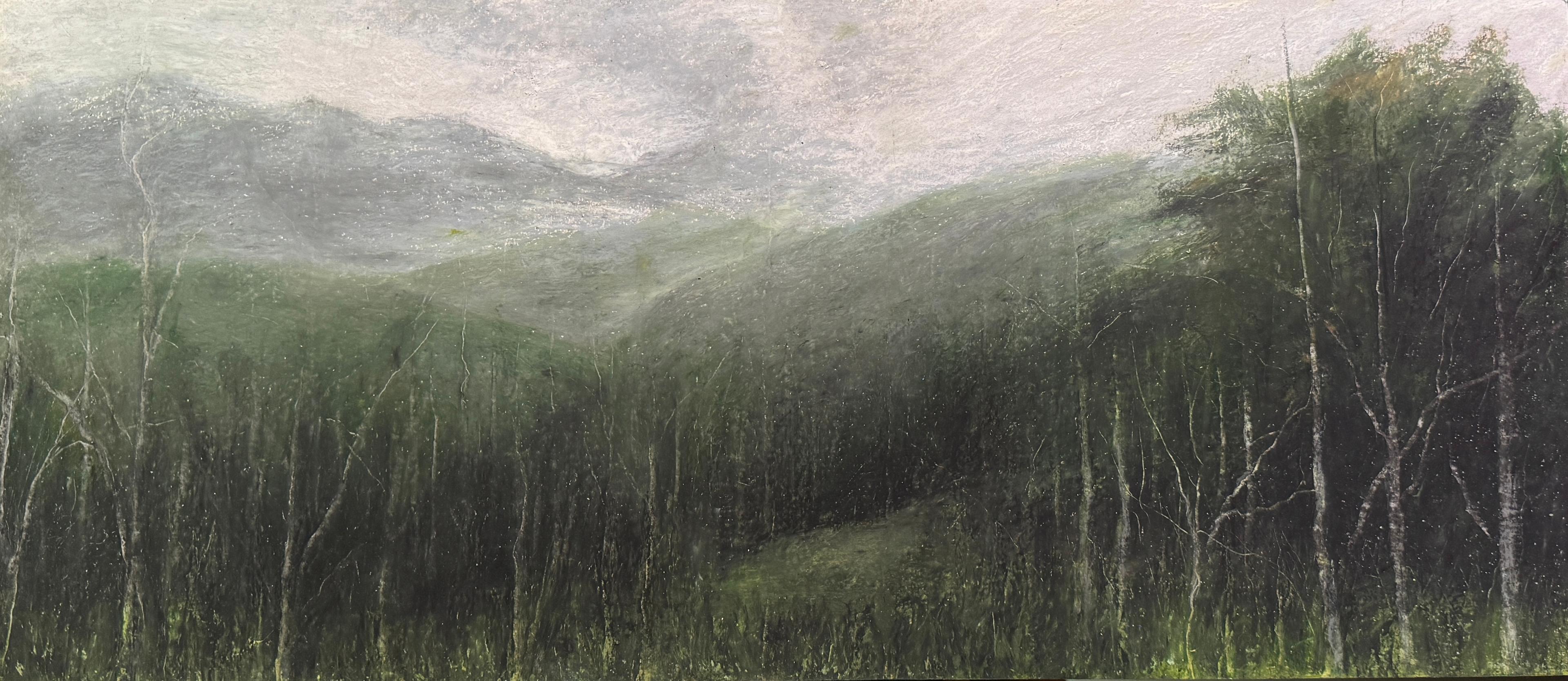20 Sara Khaleghi Moghaddam  Untitled From That Which Grows Series Oil Pastel on Cardboard  30x70 Cm 42x82 Cm (with Frame) 2024 (1403)