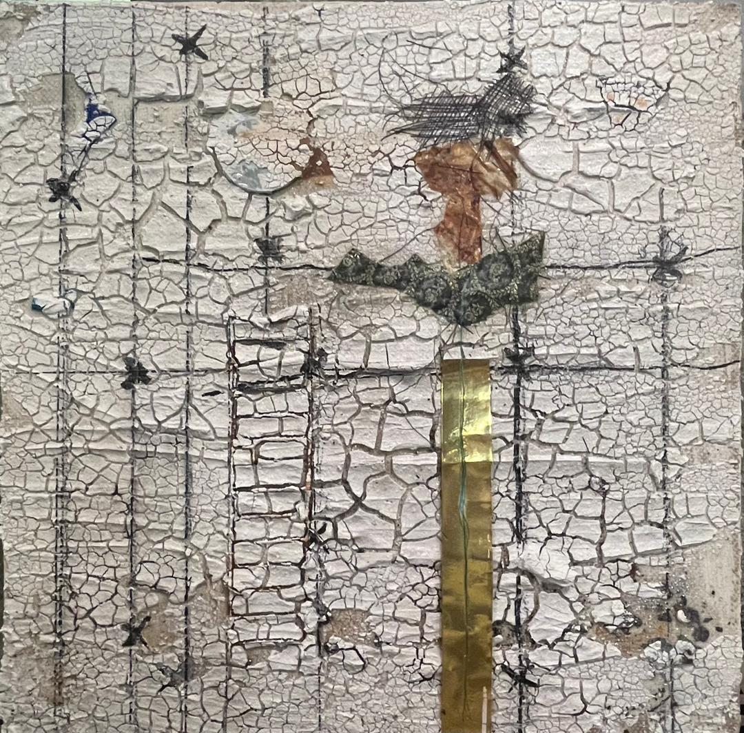 22 Maryam Salour Wonders of Creation 4 Mixed Media on Canvas 40x40 Cm 2026 (1404)